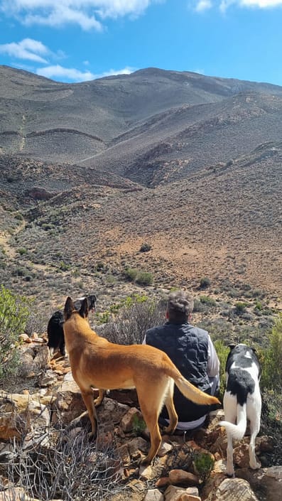Karoo Karoo views